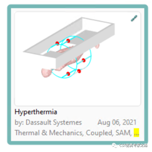 CST仿真實(shí)例：熱療Hyperthermia -生物模型，血液對